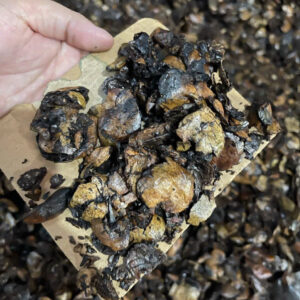 Alternative view of BÃ ĐIỀU