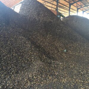 Alternative view of DẦU ĐIỀU