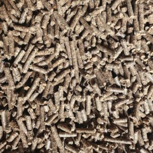 Alternative view of VIÊN NÉN TRẤU